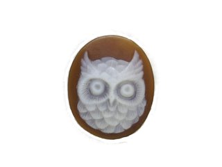 Owl cameo